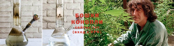 гашик Белокуриха