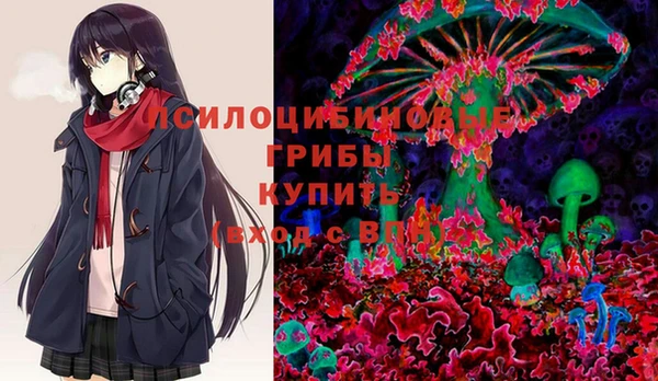 гашик Белокуриха