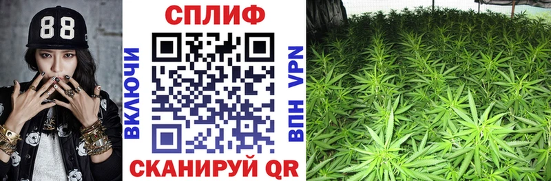 Каннабис гибрид  Маркс 